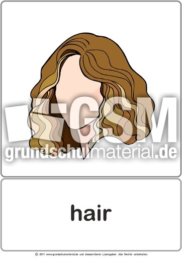 Bildkarte - hair.pdf